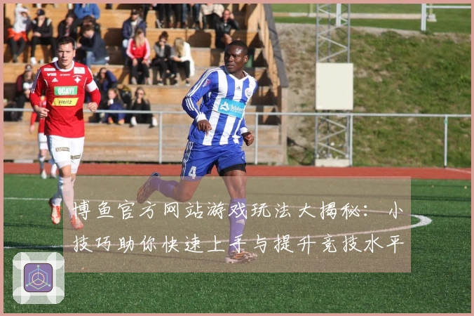 博鱼官方网站游戏玩法大揭秘：小技巧助你快速上手与提升竞技水平