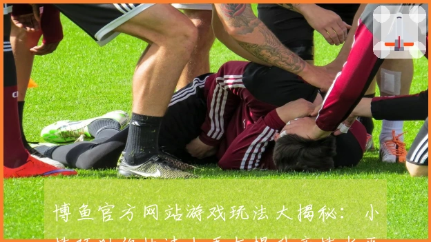 博鱼官方网站游戏玩法大揭秘：小技巧助你快速上手与提升竞技水平