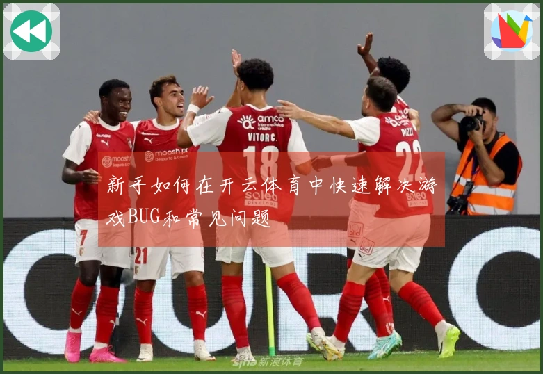 新手如何在开云体育中快速解决游戏BUG和常见问题