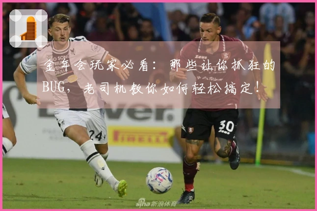 金年会玩家必看:那些让你抓狂的BUG,老司机教你如何轻松搞定!