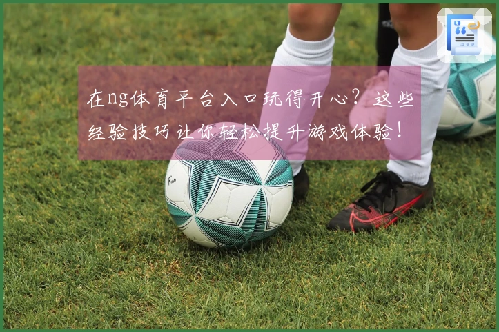 在ng体育平台入口玩得开心？这些经验技巧让你轻松提升游戏体验！